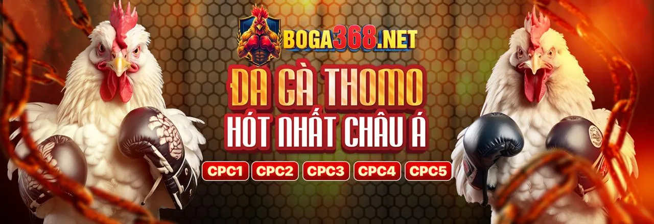 Đá gà trực tiếp kịch tính, nhận thưởng 58K